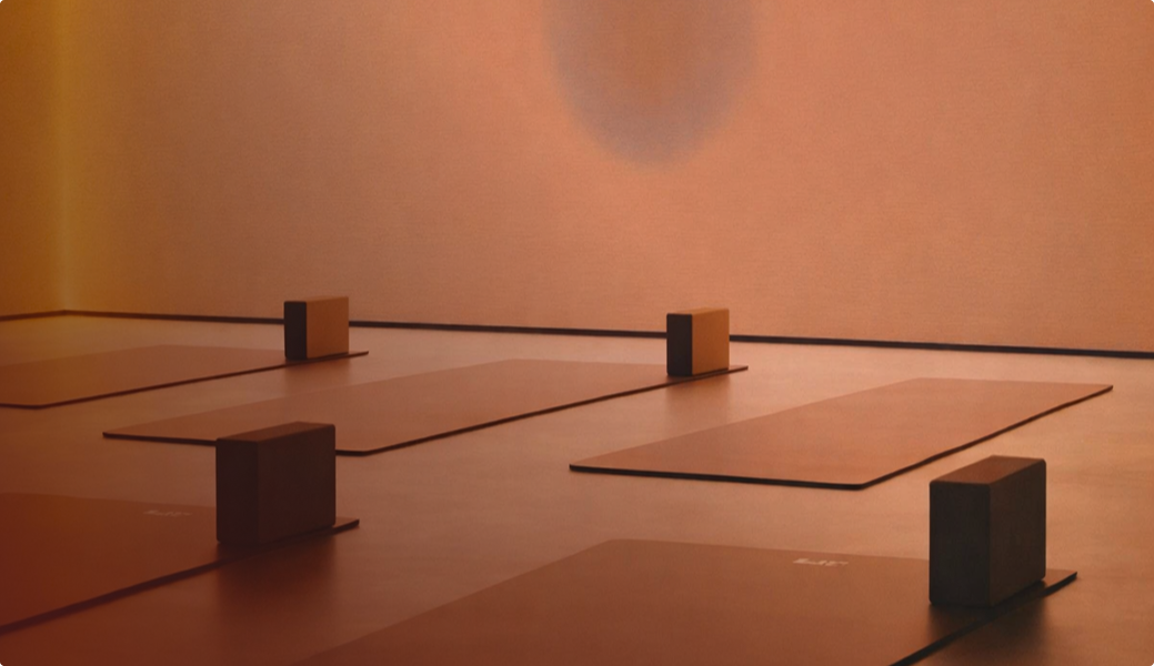 Mental clarity & Stress regulation